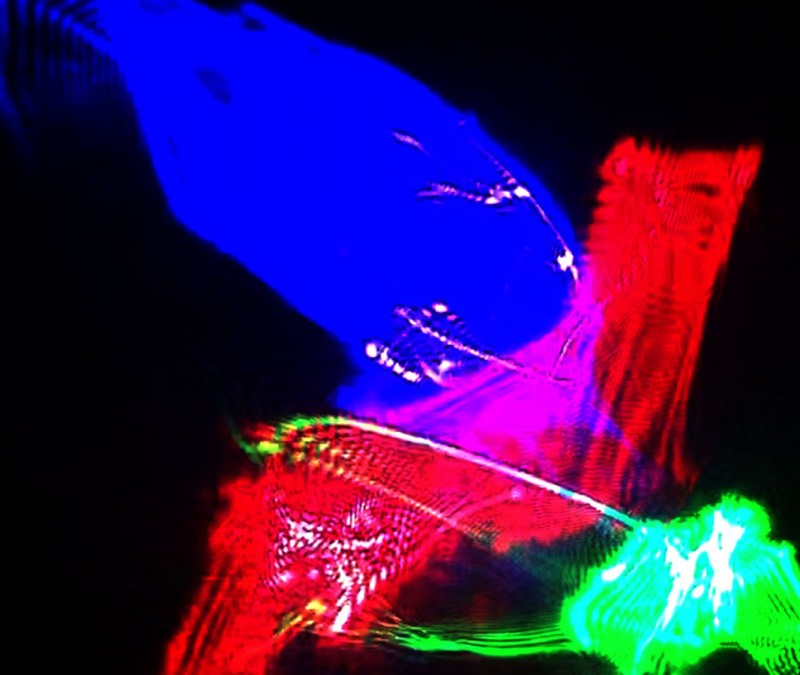 mikesupi_IMG4202 3.jpg (134.47 KiB) 158 mal betrachtet mikesupi_IMG4202 3.jpg